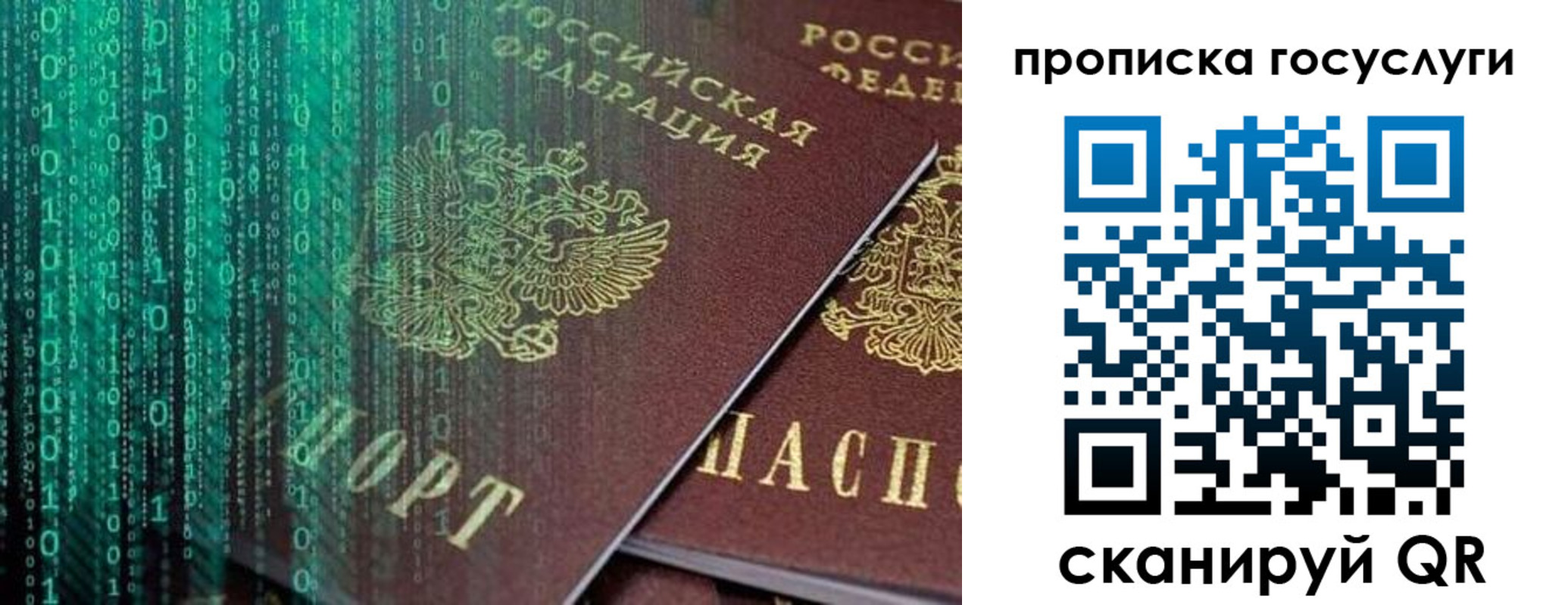 прописка поиск в Пскове